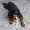 Berico_08