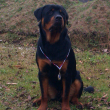Deimos-IDS-Trencin-19-1-2014-01