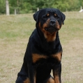 Orso-28-mesicu-11