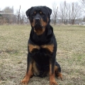 Orso-2-roky-08