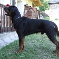 Orso-dovolena-Slovensko-2009-04