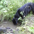 Orso-dovolena-Slovensko-2008-03