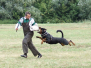 [:cs]Orso výcvik 2008–2009 [:en]Orso training 2008–2009