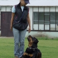 Orso-cerven-2010_2