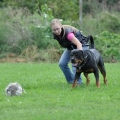 Orso-poslusnost-zari-2010-26