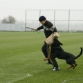 Orso-vikend-Vicenice-rijen-2010-24