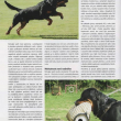 clanek-rtw-Psi-sporty-06-2013-str3